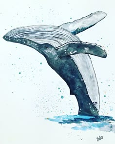 a watercolor painting of a humpback whale jumping out of the water with its mouth open