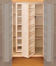 an open cabinet with shelves and doors on the inside, in front of a wood paneled wall