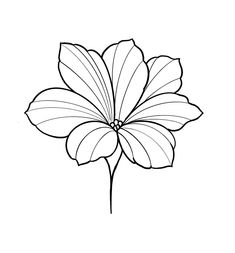 a drawing of a flower on a white background