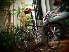 a bicycle parked next to a car in front of a house with bamboo trees and plants