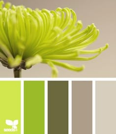 the color scheme is lime green and gray, with white flowers on each side of it