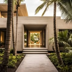 the entrance to a modern home surrounded by palm trees