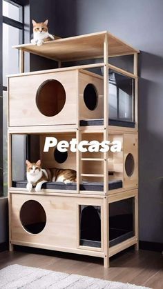 two cats sitting on top of a wooden cat house with the words petcasa above it