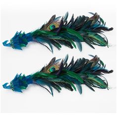 two pieces of blue and green feathers on a white background