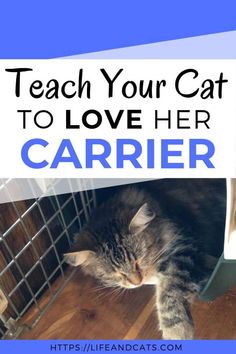 a cat sleeping in a cage with the words teach your cat to love her carrier