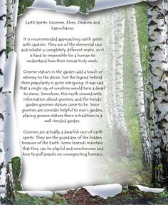 an image of a poem written in the woods with white birch trees and snow on them