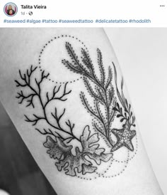 a black and white photo of some plants on the arm