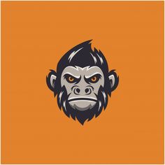 a monkey's head with an orange background