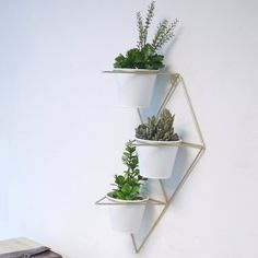 three white planters are hanging on the wall