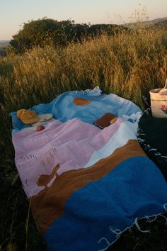 a blanket and hat laying on the ground in tall grass with trees in the background