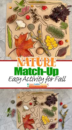 the nature match - up is an easy activity for kids to learn how to make their own autumn leaves