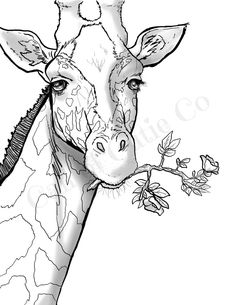 a drawing of a giraffe eating some leaves from a tree with its tongue out