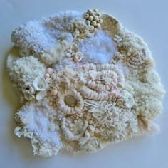 a piece of art made out of different types of corals and seashells