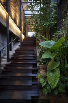 a set of stairs leading up to a building with lots of greenery on both sides