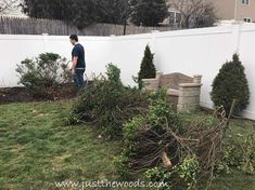 a man is standing in the yard next to some bushes and trees that have fallen on them