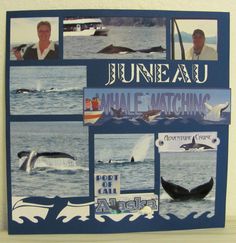 a blue plaque with pictures of whale watching