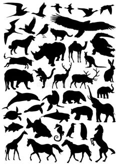 the silhouettes of animals and birds in black on white background royalty illustration stock illustration