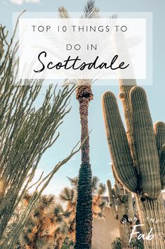 a cactus with the words top 10 things to do in scottsdale on it's side