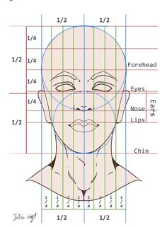 Face Geometry Drawing, Realistic Face Proportions, Eye Proportions Drawing, How To Draw Face Anatomy, Facial Proportions Drawing Tutorials, Face Proportions Reference, Face Porpotion Reference, Face Ratio Drawing, Portrait Guidelines