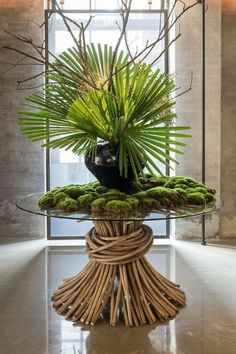 a glass table topped with a plant next to a window