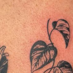 a close up of a person's chest with tattoos on it and two leaves