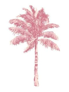 a pink palm tree on a white background