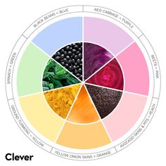 the color wheel is filled with different types of vegetables and herbs, including spinach