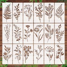 the different types of flowers and leaves are shown in brown on white tiles with wood planks