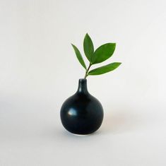 a black vase with a green leaf in it on a white surface, against a plain background