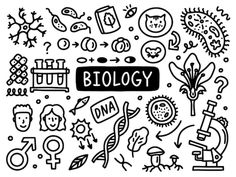 the word biology surrounded by doodles of different types of plants, animals and other things