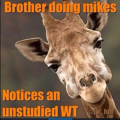 a giraffe with its tongue out and the caption brother doing mikes notices an unstudid wt