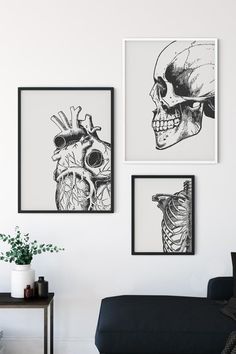 three black and white prints hang on the wall