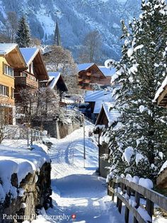 a snow covered village with trees and mountains in the background