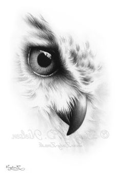 an owl's eye is shown in this black and white drawing by steve p nelson