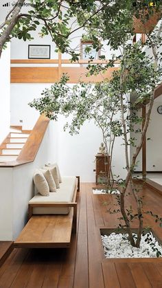 a living room filled with furniture and a tree in the middle of it's floor