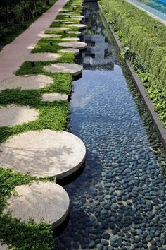 a long row of stepping stones next to a small pond with grass growing on it