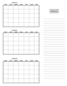 the goal sheet is shown in black and white, with two lines on each side