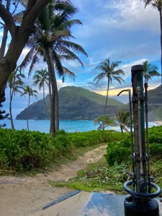 a view of the ocean from an island with palm trees and mountains in the background