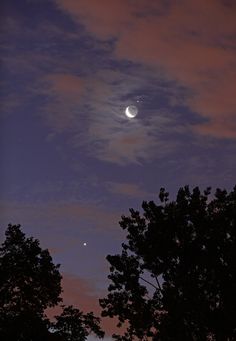 the moon and venus are visible in the night sky above some tree tops at dusk