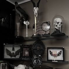 there are many items on the shelves in this room that is decorated with skulls and bats