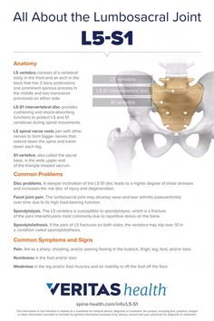 The L5-S1 spinal motion segment helps transfer loads from the spine into the pelvis/legs and may be susceptible to degeneration, herniation, and/or nerve pain Stenosis Of The Spine, L5 S1, Forward Head Posture Exercises, Inner Knee Pain, Spinal Nerve, Chronic Pain Relief, Spine Health