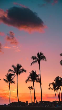 palm trees are silhouetted against an orange and blue sky at sunset on the beach