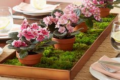 some pink flowers are sitting in pots on the dining room table set with place settings and utensils