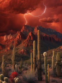 a desert scene with cactus, cacti and lightning