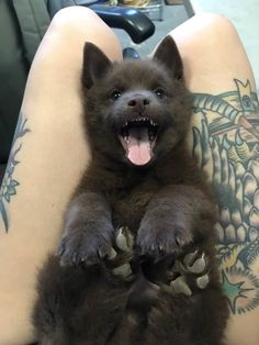 a person with tattoos on their legs holding a small brown dog up to their chest