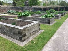 several raised garden beds with plants growing in them