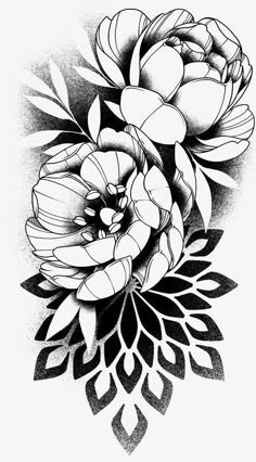 a black and white drawing of flowers with leaves on the bottom half of their petals