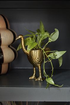 there is a potted plant in the shape of a bird on top of a shelf