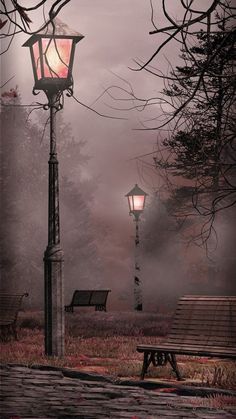 a park bench sitting next to a street light on a foggy day with trees in the background