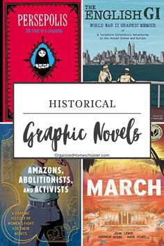 several books with the title historical graphic novels